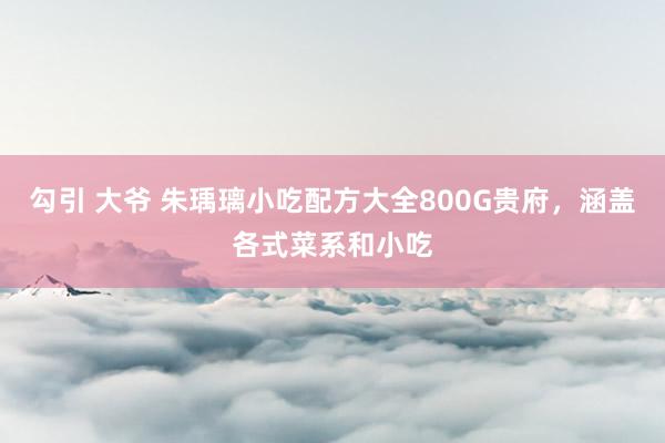 勾引 大爷 朱瑀璃小吃配方大全800G贵府，涵盖各式菜系和小吃