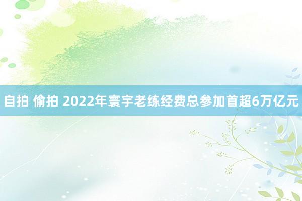 自拍 偷拍 2022年寰宇老练经费总参加首超6万亿元