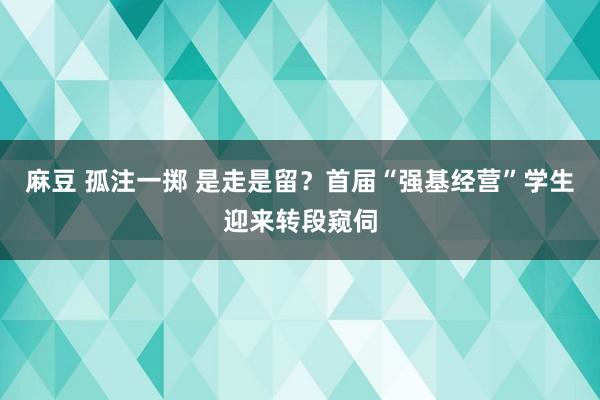 麻豆 孤注一掷 是走是留？首届“强基经营”学生迎来转段窥伺