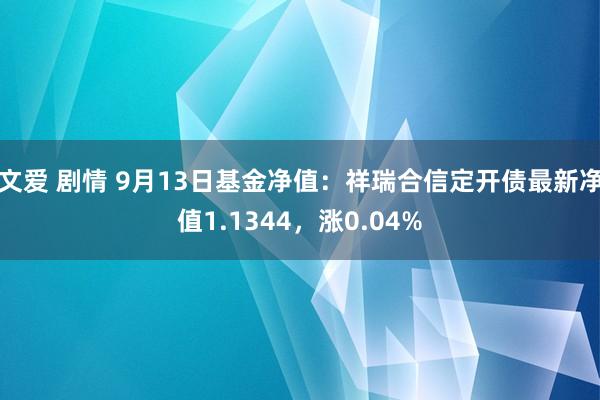 文爱 剧情 9月13日基金净值：祥瑞合信定开债最新净值1.1344，涨0.04%