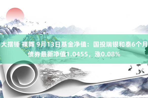 大摆锤 裸舞 9月13日基金净值：国投瑞银和泰6个月债券最新净值1.0455，涨0.08%