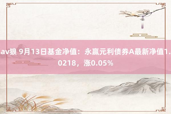 av狼 9月13日基金净值：永赢元利债券A最新净值1.0218，涨0.05%