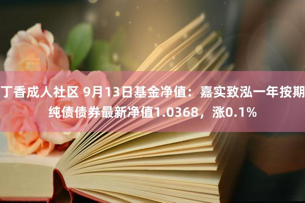 丁香成人社区 9月13日基金净值：嘉实致泓一年按期纯债债券最新净值1.0368，涨0.1%