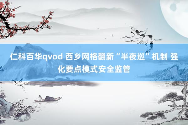 仁科百华qvod 西乡网格翻新“半夜巡”机制 强化要点模式安全监管