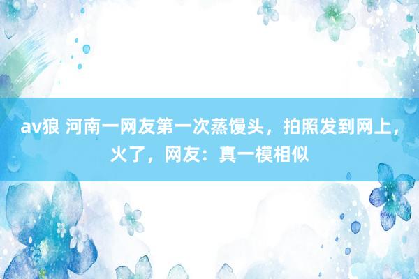 av狼 河南一网友第一次蒸馒头，拍照发到网上，火了，网友：真一模相似