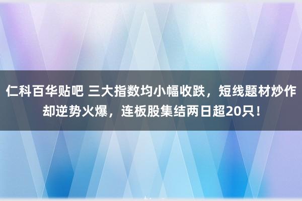 仁科百华贴吧 三大指数均小幅收跌，短线题材炒作却逆势火爆，连板股集结两日超20只！