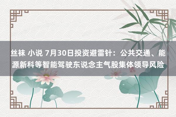 丝袜 小说 7月30日投资避雷针：公共交通、能源新科等智能驾驶东说念主气股集体领导风险