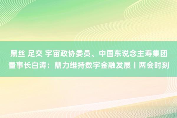 黑丝 足交 宇宙政协委员、中国东说念主寿集团董事长白涛：鼎力维持数字金融发展丨两会时刻