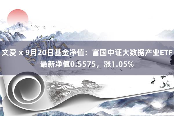 文爱 x 9月20日基金净值：富国中证大数据产业ETF最新净值0.5575，涨1.05%