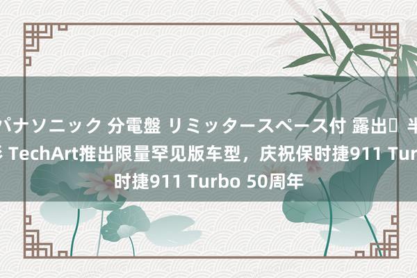 パナソニック 分電盤 リミッタースペース付 露出・半埋込両用形 TechArt推出限量罕见版车型，庆祝保时捷911 Turbo 50周年