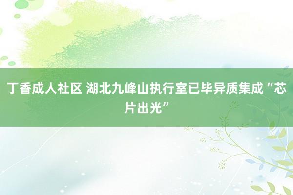 丁香成人社区 湖北九峰山执行室已毕异质集成“芯片出光”