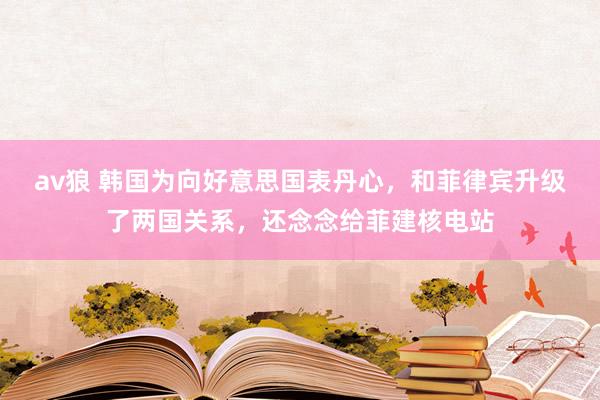 av狼 韩国为向好意思国表丹心，和菲律宾升级了两国关系，还念念给菲建核电站