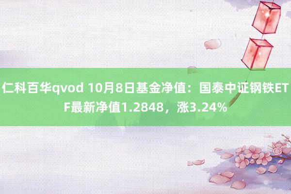 仁科百华qvod 10月8日基金净值：国泰中证钢铁ETF最新净值1.2848，涨3.24%