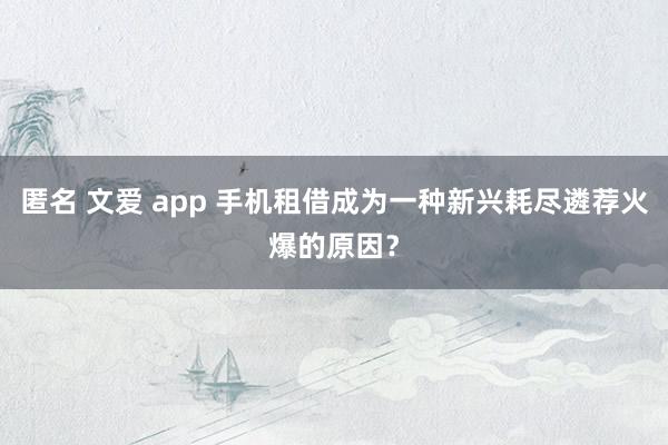 匿名 文爱 app 手机租借成为一种新兴耗尽遴荐火爆的原因？