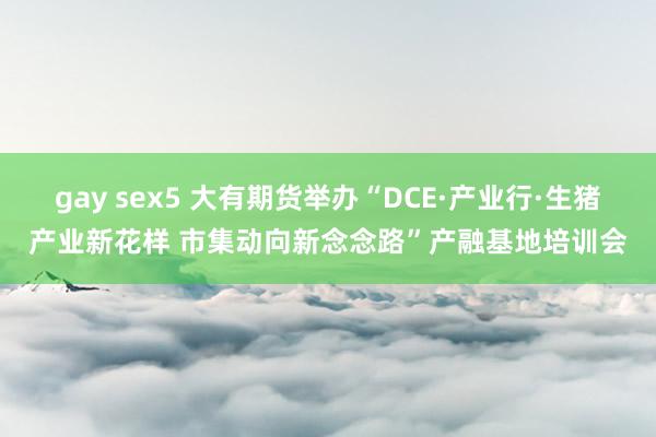 gay sex5 大有期货举办“DCE·产业行·生猪产业新花样 市集动向新念念路”产融基地培训会