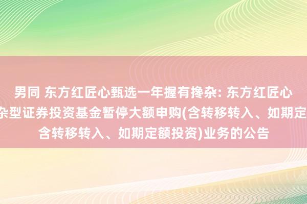 男同 东方红匠心甄选一年握有搀杂: 东方红匠心甄选一年握有期搀杂型证券投资基金暂停大额申购(含转移转入、如期定额投资)业务的公告