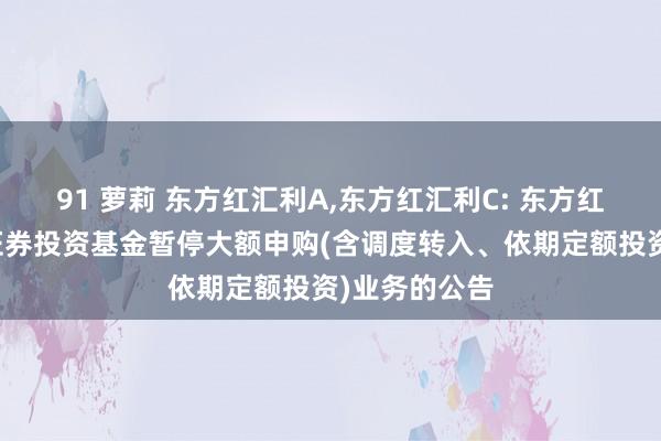 91 萝莉 东方红汇利A，东方红汇利C: 东方红汇利债券型证券投资基金暂停大额申购(含调度转入、依期定额投资)业务的公告