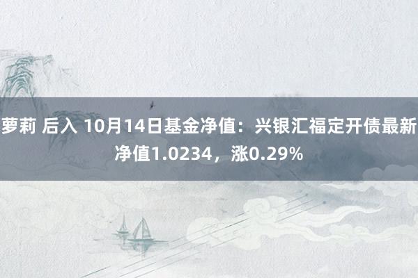 萝莉 后入 10月14日基金净值：兴银汇福定开债最新净值1.0234，涨0.29%