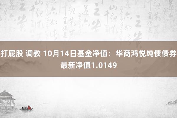 打屁股 调教 10月14日基金净值：华商鸿悦纯债债券最新净值1.0149