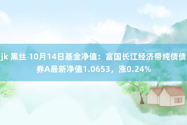 jk 黑丝 10月14日基金净值：富国长江经济带纯债债券A最新净值1.0653，涨0.24%