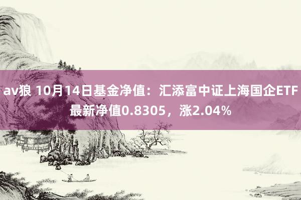 av狼 10月14日基金净值：汇添富中证上海国企ETF最新净值0.8305，涨2.04%