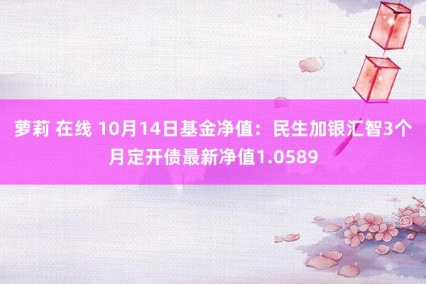 萝莉 在线 10月14日基金净值：民生加银汇智3个月定开债最新净值1.0589