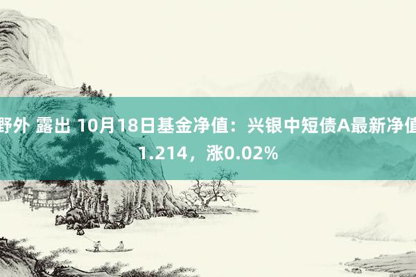 野外 露出 10月18日基金净值：兴银中短债A最新净值1.214，涨0.02%