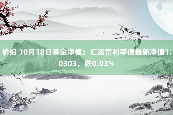 偷拍 10月18日基金净值：汇添富利率债最新净值1.0303，跌0.03%