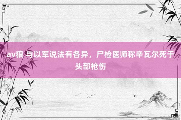 av狼 与以军说法有各异，尸检医师称辛瓦尔死于头部枪伤