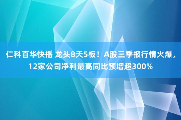 仁科百华快播 龙头8天5板！A股三季报行情火爆，12家公司净利最高同比预增超300%