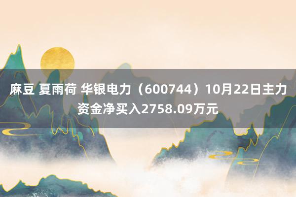 麻豆 夏雨荷 华银电力（600744）10月22日主力资金净买入2758.09万元