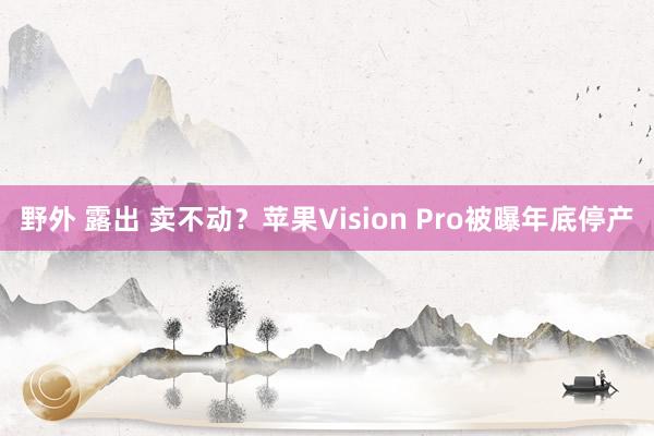 野外 露出 卖不动？苹果Vision Pro被曝年底停产