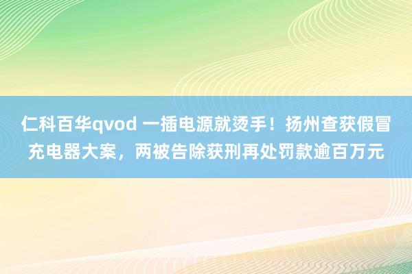 仁科百华qvod 一插电源就烫手！扬州查获假冒充电器大案，两被告除获刑再处罚款逾百万元