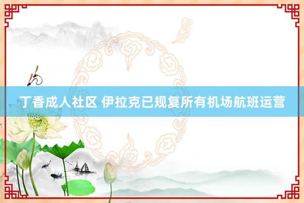 丁香成人社区 伊拉克已规复所有机场航班运营