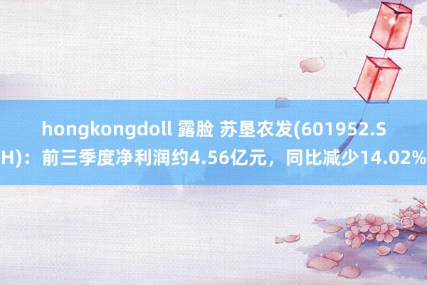 hongkongdoll 露脸 苏垦农发(601952.SH)：前三季度净利润约4.56亿元，同比减少14.02%