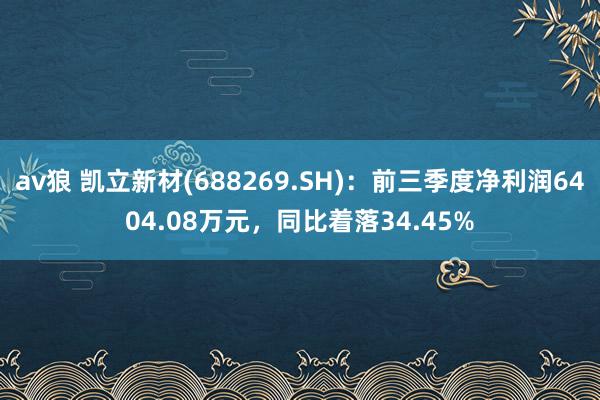 av狼 凯立新材(688269.SH)：前三季度净利润6404.08万元，同比着落34.45%