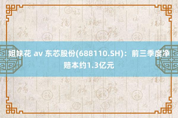 姐妹花 av 东芯股份(688110.SH)：前三季度净赔本约1.3亿元