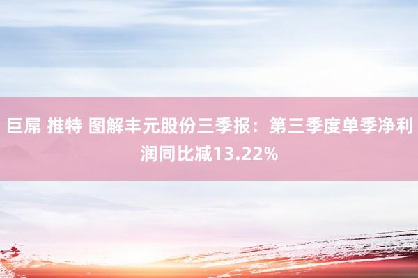 巨屌 推特 图解丰元股份三季报：第三季度单季净利润同比减13.22%