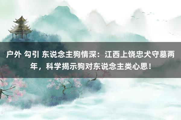 户外 勾引 东说念主狗情深：江西上饶忠犬守墓两年，科学揭示狗对东说念主类心思！