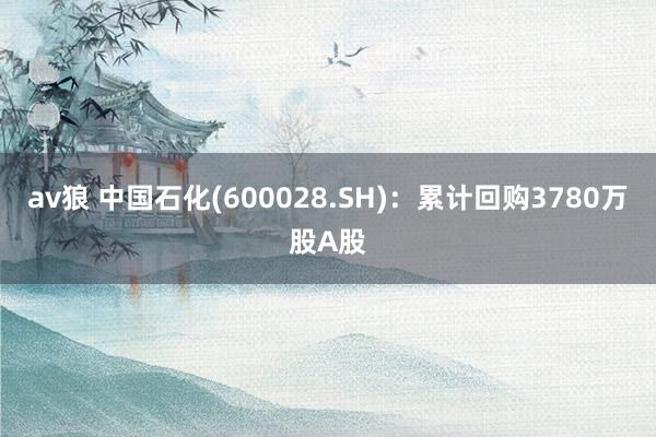 av狼 中国石化(600028.SH)：累计回购3780万股A股