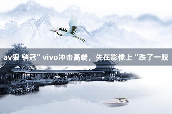 av狼 销冠”vivo冲击高端，先在影像上“跌了一跤