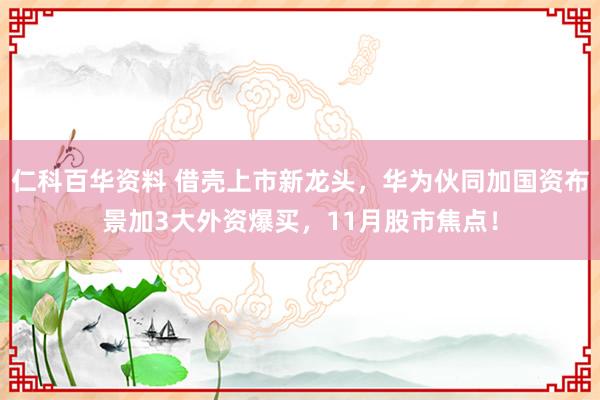 仁科百华资料 借壳上市新龙头，华为伙同加国资布景加3大外资爆买，11月股市焦点！