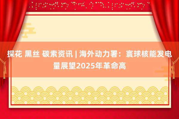 探花 黑丝 碳索资讯 | 海外动力署：寰球核能发电量展望2025年革命高